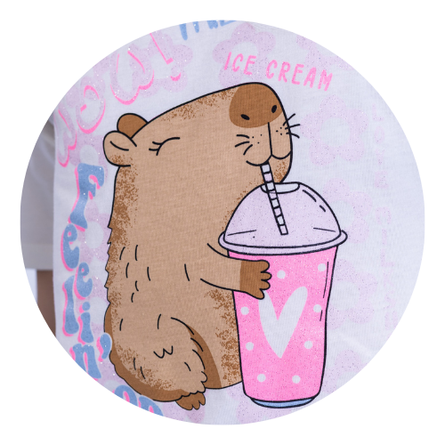 fotos bolinhas descricao 29